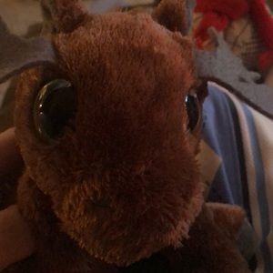 Meet your Posher, Dan